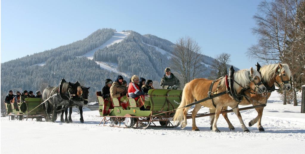 Hotel Pension Residence รัมเซา อัม ดาคชไตน์ ภายนอก รูปภาพ